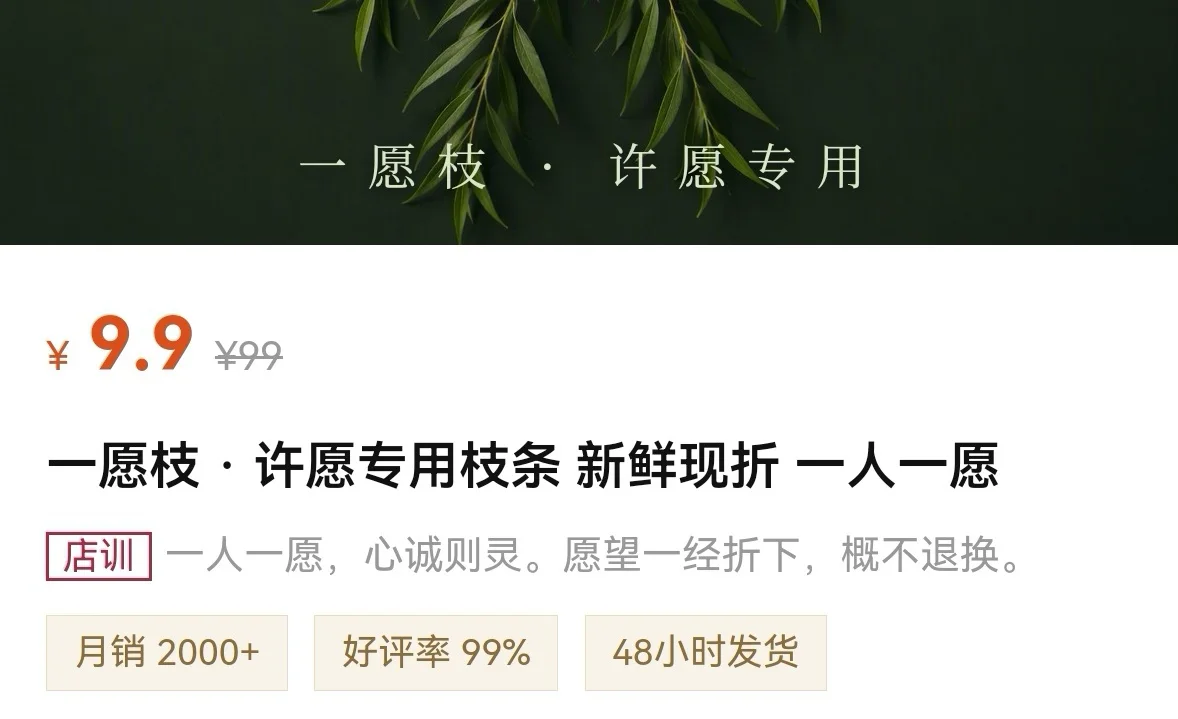许愿柳 - 作品封面 - 谜页集