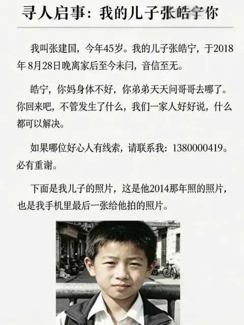 张皓宁失踪案 - 作品封面 - 谜页集