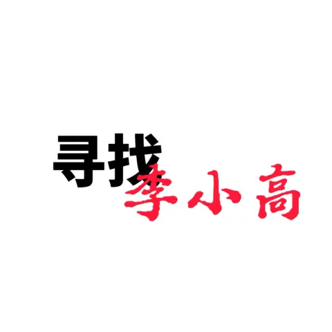 寻找李小高 - 作品封面 - 谜页集