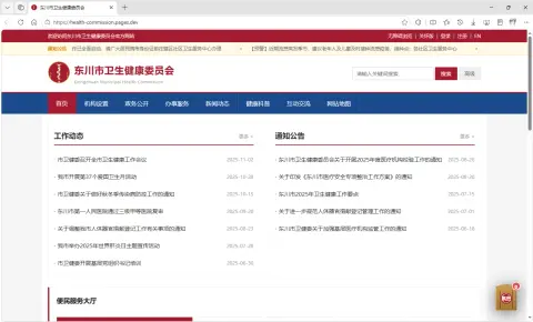 东川市卫健委事件 - 作品封面 - 谜页集