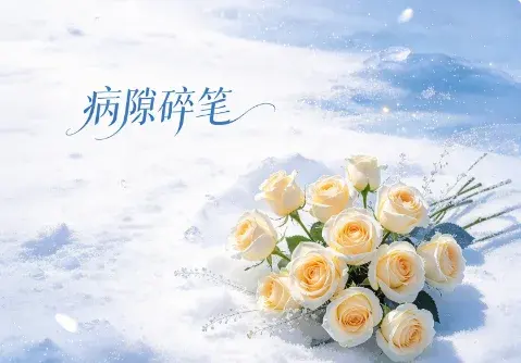 病隙碎笔 - 作品封面 - 谜页集